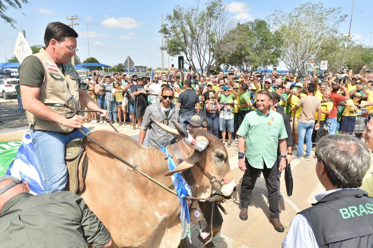 bolsonaro em juazeiro