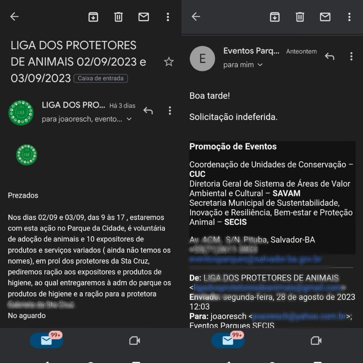 Casa de gatos é destruída no Parque da Cidade e protetores apontam secretária: “quis mídia"; veja vídeo