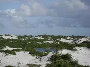 Dunas