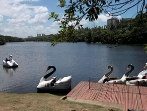 Pituaçu