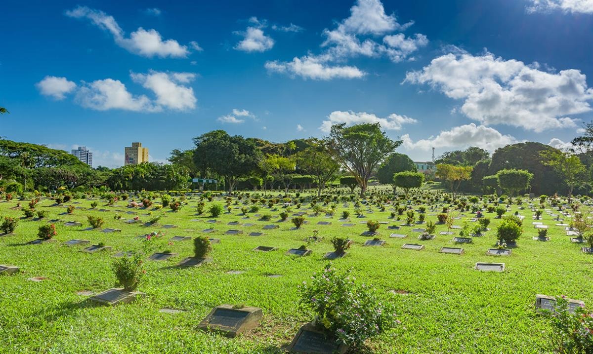 Divulgação / Jardim da Saudade