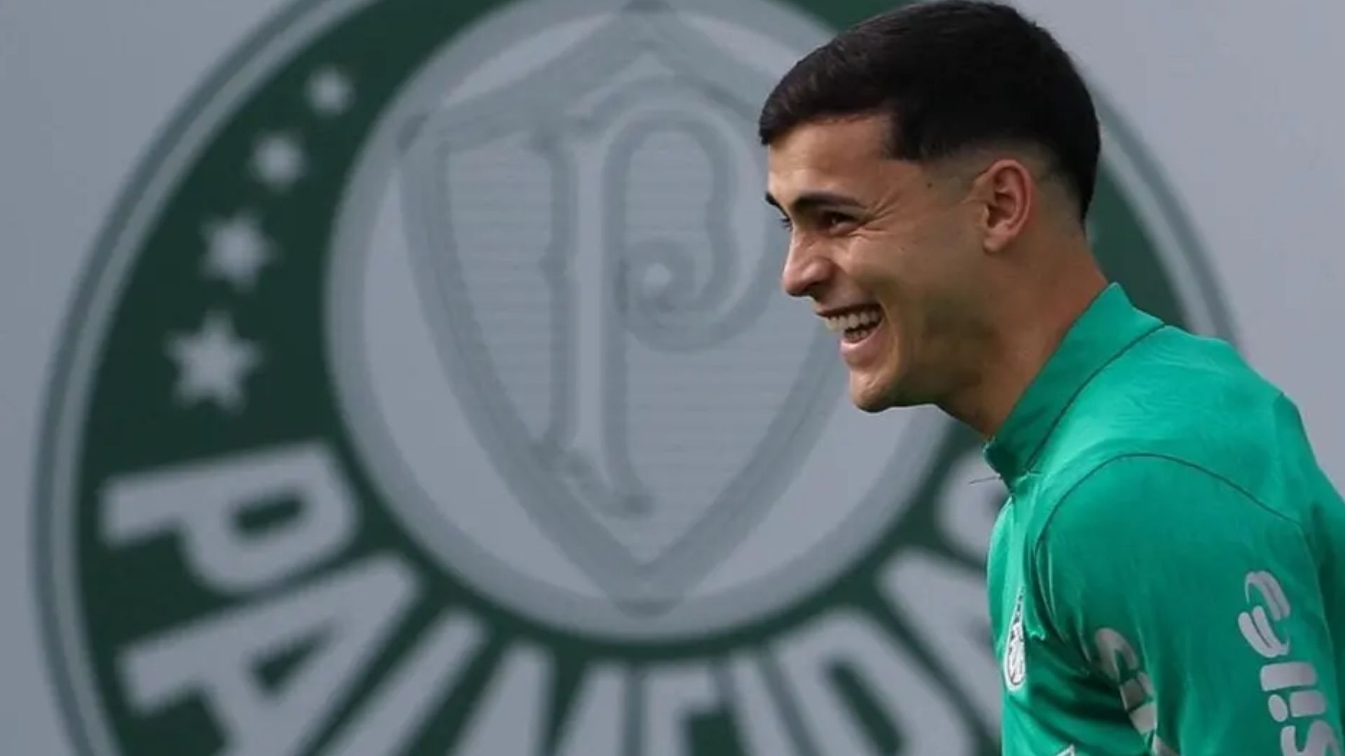 Cesar Greco/Palmeiras