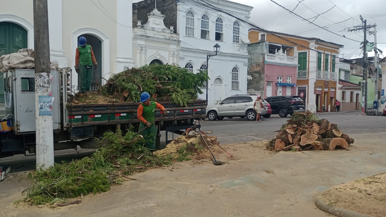 Árvore removida no Santo Antônio Além do Carmo