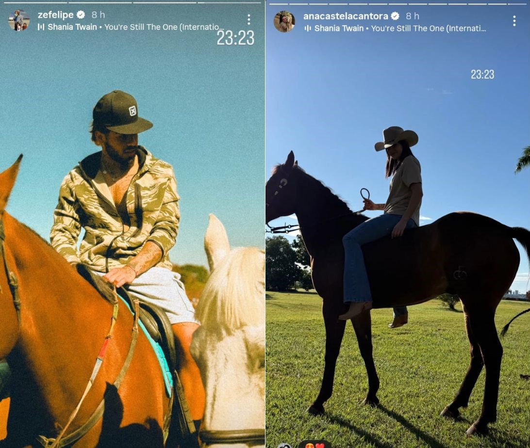 stories ze felipe e ana castela