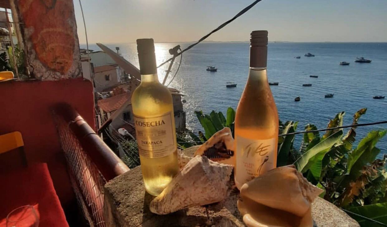 Reprodução/Instagram (@sushi_solar)