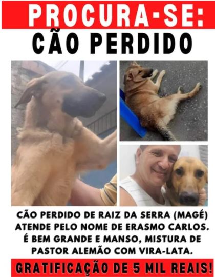 reprodução