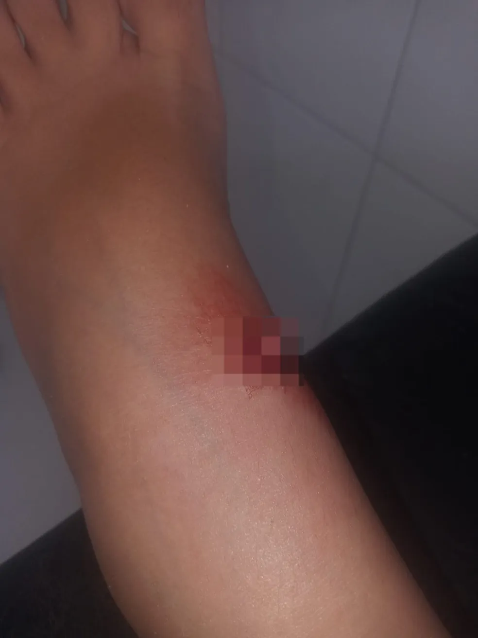 Arquivo Pessoal