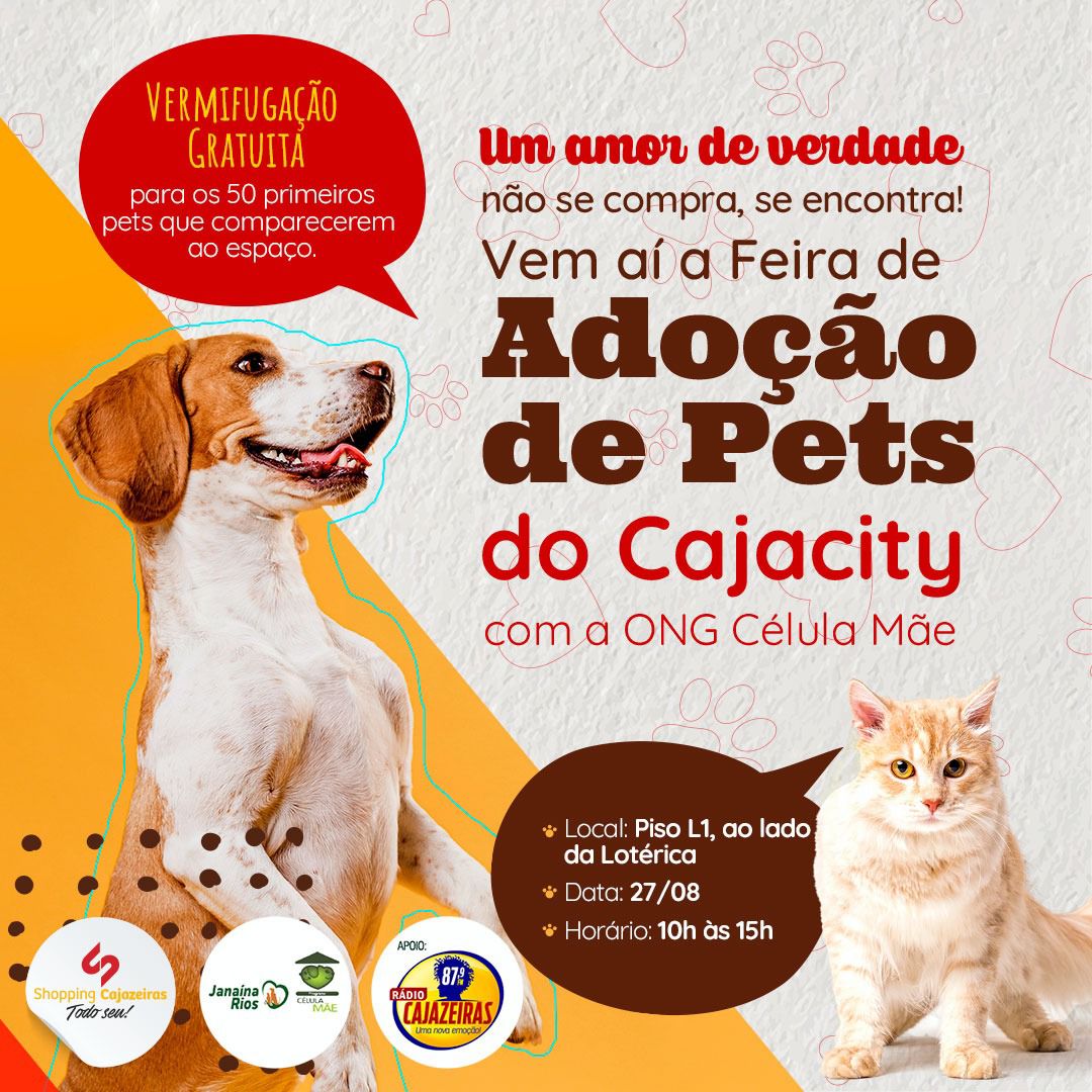 feira de adoção