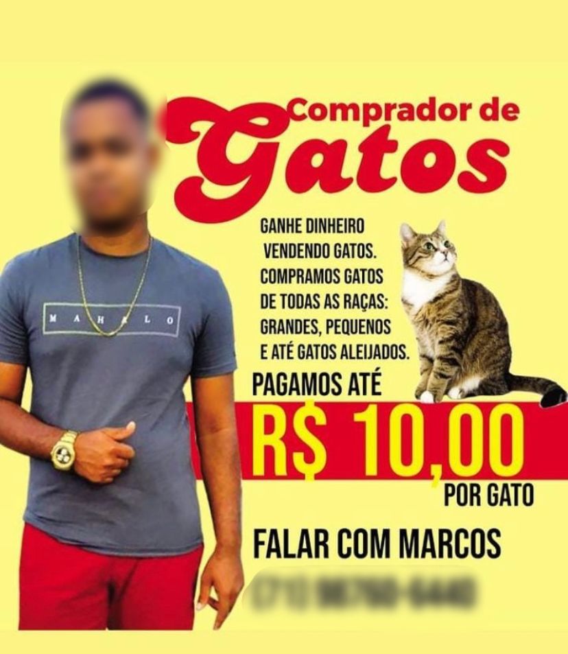 Foto: Reprodução / Redes Sociais