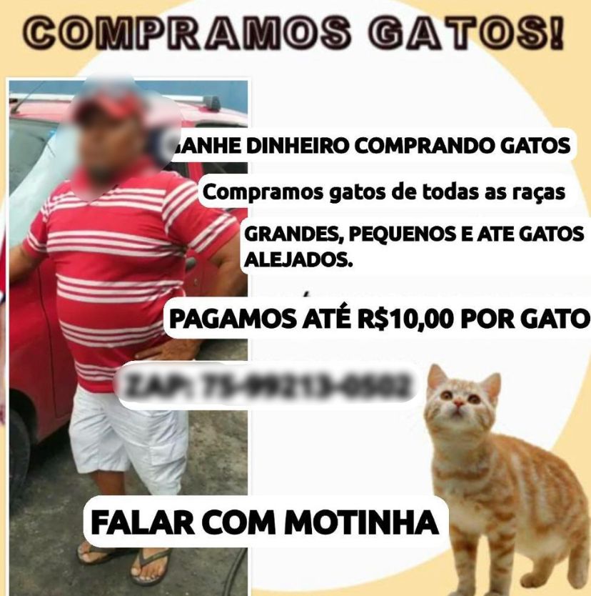 Foto: Reprodução / Redes Sociais