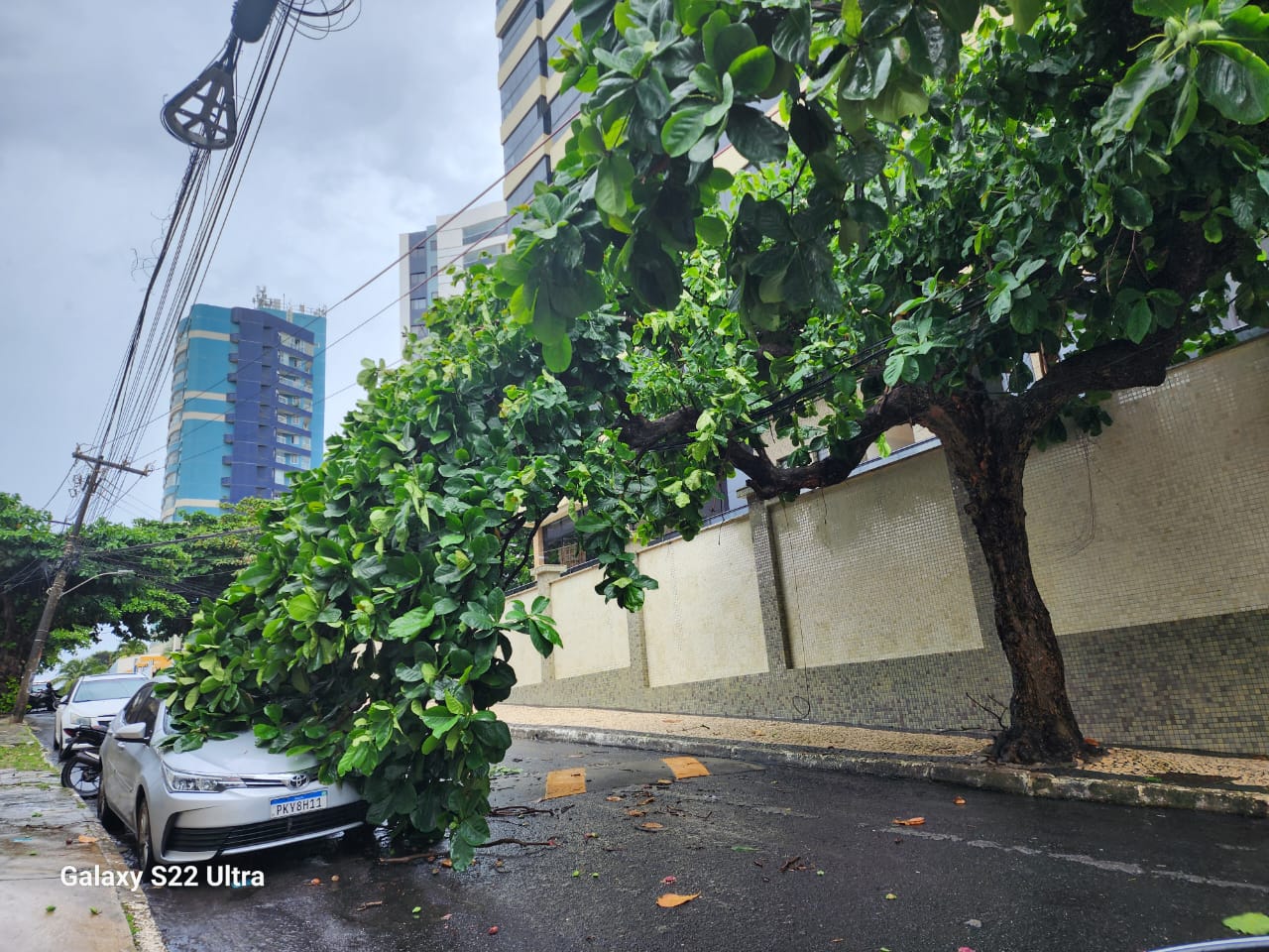 No bairro Jardim Armação