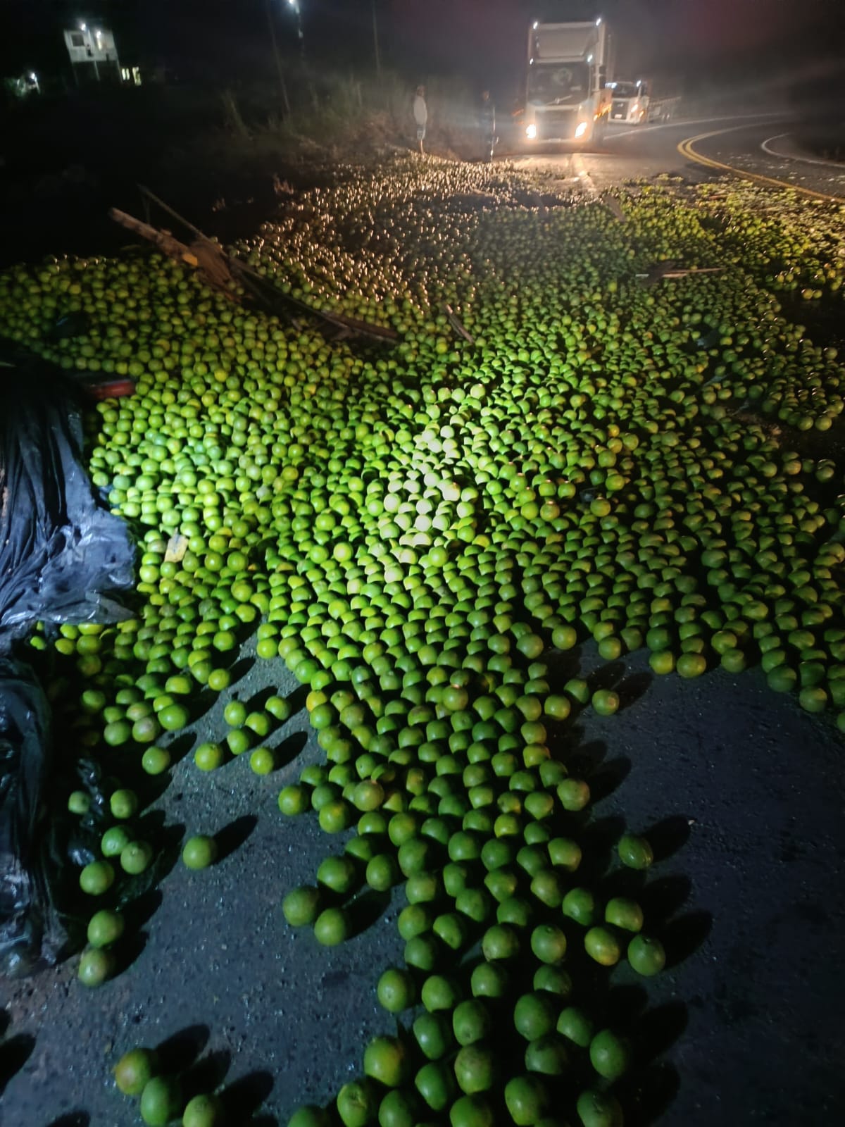 vaquinha 